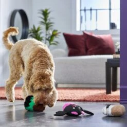 Frisco Halloween Cupcakes Plush Squeaky Dog Toy -Ultimate Pet Shop 270367 PT3. AC SS1800 V1624817674