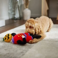 Frisco Halloween Headless Rider Plush Squeaky Dog Toy -Ultimate Pet Shop 270375 PT3. AC SS1800 V1624817181