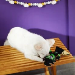 Frisco Halloween Good Witch, Bad Witch Reversible Plush Squeaky Dog Toy -Ultimate Pet Shop 270429 PT3. AC SS1800 V1624817643