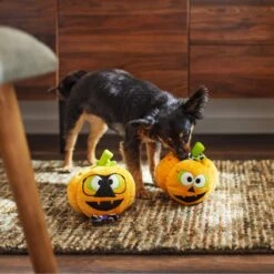 Frisco Halloween Nerdy Jack-o-Lanterns Plush Squeaky Dog Toy -Ultimate Pet Shop 270431 PT3. AC SS1800 V1624817796