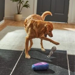 Frisco Halloween Mummy & Coffin Plush Squeaky Dog Toy -Ultimate Pet Shop 270437 PT3. AC SS1800 V1624817278