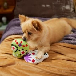 Frisco Halloween Day Of The Dead Sugar Skull Plush Squeaky Dog Toy, 2 Count -Ultimate Pet Shop 270443 PT3. AC SS1800 V1624824826