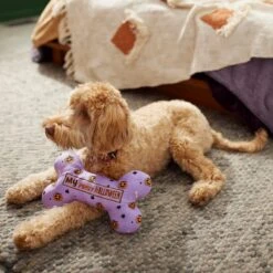 Frisco Halloween My First Halloween Bone Reversible Plush Squeaky Dog Toy -Ultimate Pet Shop 270452 PT3. AC SS1800 V1624817314