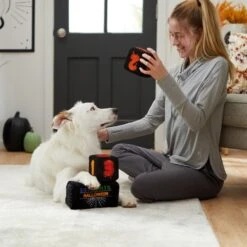 Frisco Halloween 30 Days Of Halloween Countdown Blocks Plush Squeaky Dog Toy -Ultimate Pet Shop 270494 PT3. AC SS1800 V1624817483