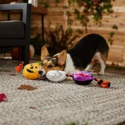 Frisco Halloween Haunted Friends Plush With Rope Squeaky Dog Toy -Ultimate Pet Shop 270500 PT3. AC SS1800 V1624825043