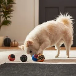 Frisco Halloween Glow In The Dark Fetch Squeaky Tennis Ball Dog Toy -Ultimate Pet Shop 270525 PT3. AC SS1800 V1624824980