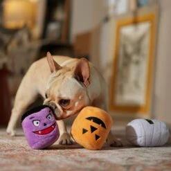Frisco Halloween Haunted Friends Plush Squeaky Dog Toy, 3 Count -Ultimate Pet Shop 270533 PT3. AC SS1800 V1689878438