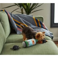 Frisco Camping Bug Spray Plush Squeaky Dog Toy, 3 Count -Ultimate Pet Shop 270989 PT3. AC SS1800 V1625009020