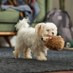 Frisco Camping Hedgehog Plush Squeaky Dog Toy -Ultimate Pet Shop 270995 PT3. AC SS1800 V1625009251