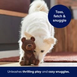 Frisco Camping Bear Plush Squeaky Dog Toy -Ultimate Pet Shop 270999 PT5. AC SS1800 V1691785245
