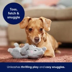 Frisco Camping Squirrel Plush Squeaky Dog Toy -Ultimate Pet Shop 271001 PT5. AC SS1800 V1691785245