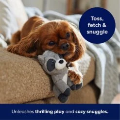 Frisco Camping Raccoon Plush Squeaky Dog Toy -Ultimate Pet Shop 271003 PT4. AC SS1800 V1695670777