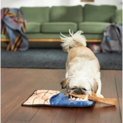 Frisco Camping Smores & Sleeping Bag Flat Plush Squeaky Dog Toy, 2 Count -Ultimate Pet Shop 271018 PT3. AC SS1800 V1625009010