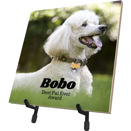 Frisco Personalized Basic Ceramic Photo Tile With Stand -Ultimate Pet Shop 271227 MAIN. AC SS1800 V1619197918