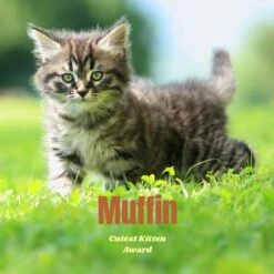 Frisco Personalized Basic Ceramic Photo Tile With Stand -Ultimate Pet Shop 271227 PT2. AC SS1800 V1619198223