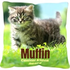 Frisco Personalized Basic Throw Pillow, 16" X 16" 5 Frisco Personalized Basic Throw Pillow, 16" X 16" -Ultimate Pet Shop 271237 PT2. AC SS1800 V1620405726