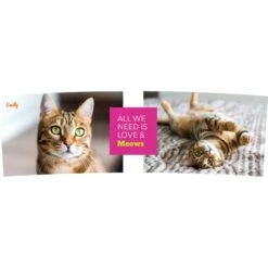 Frisco "Classic" Double Walled Personalized Tumbler. 30-oz -Ultimate Pet Shop 272541 PT2. AC SS1800 V1625686095