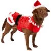 Frisco Mrs. Claus Dog & Cat Costume