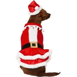 Frisco Mrs. Claus Dog & Cat Costume -Ultimate Pet Shop 276150 PT3. AC SS1800 V1631572139