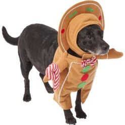 Frisco Front Walking Gingerbread Dog & Cat Costume -Ultimate Pet Shop 276156 PT3. AC SS1800 V1631660334