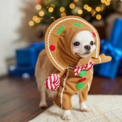 Frisco Front Walking Gingerbread Dog & Cat Costume -Ultimate Pet Shop 276156 PT8. AC SS1800 V1631568795