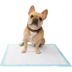 Frisco Premium Dog Training & Potty Pads & Frisco Premium Extra Large Dog Training & Potty Pads -Ultimate Pet Shop 276223 PT4. AC SS1800 V1616193411
