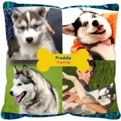 Frisco "Contemporary #2" Throw Pillow 16 X 16 -Ultimate Pet Shop 276901 PT2. AC SS1800 V1625686286