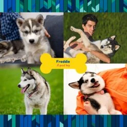 Frisco "Contemporary #2" Ceramic Photo Tile With Stand -Ultimate Pet Shop 276919 PT2. AC SS1800 V1625685369