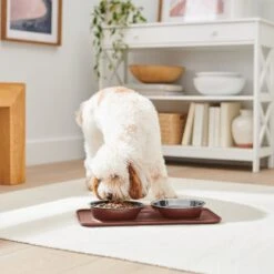 Frisco Silicone Stainless Steel Double Diner Dog & Cat Bowl, Brown -Ultimate Pet Shop 277551 PT2. AC SS1800 V1630346531