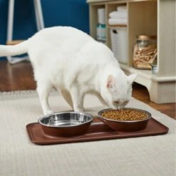 Frisco Silicone Stainless Steel Double Diner Dog & Cat Bowl, Brown -Ultimate Pet Shop 277551 PT3. AC SS1800 V1630348104