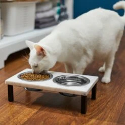 Frisco Marble Elevated Stainless Steel Double Diner Dog & Cat Bowls -Ultimate Pet Shop 277559 PT3. AC SS1800 V1630347820