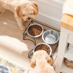 Frisco Multi Pet Feeding Corner 3-Bowls Stainless Steel Dog & Cat Bowl -Ultimate Pet Shop 277561 PT2. AC SS1800 V1630346973