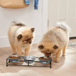 Frisco Multi Pet Feeding 3-Bowls Straight Stainless Steel Dog & Cat Bowl -Ultimate Pet Shop 277568 PT2. AC SS1800 V1630346795