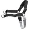 Frisco Basic No Pull Harness