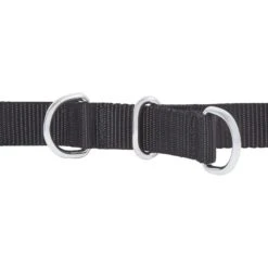 Frisco Basic No Pull Harness -Ultimate Pet Shop 277873 PT2. AC SS1800 V1629760100