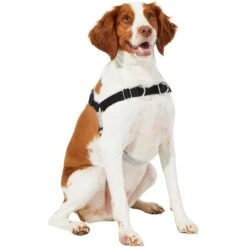 Frisco Basic No Pull Harness -Ultimate Pet Shop 277873 PT3. AC SS1800 V1629766656