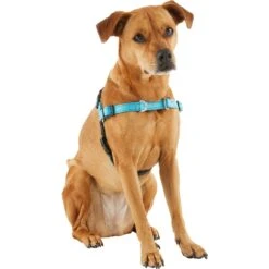Frisco Padded Reflective No Pull Harness -Ultimate Pet Shop 277892 PT3. AC SS1800 V1629758833