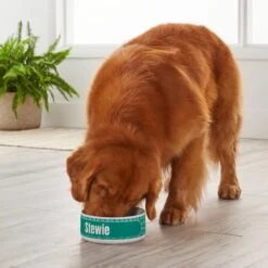 Frisco General Pet Ceramic Personalized Dog & Cat Bowl 7 Frisco General Pet Ceramic Personalized Dog & Cat Bowl -Ultimate Pet Shop 278922 PT3. AC SS1800 V1629147409