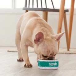 Frisco Personalized General Dog & Cat Small Dog Bowl -Ultimate Pet Shop 278924 PT3. AC SS1800 V1629147374