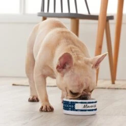 Frisco Personalized Mudcloth Small Dog & Cat Bowl -Ultimate Pet Shop 278936 PT3. AC SS1800 V1629147692