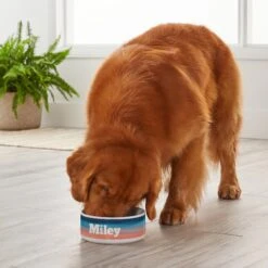 Frisco Personalized Watercolor Dog Bowl -Ultimate Pet Shop 278942 PT3. AC SS1800 V1629147399