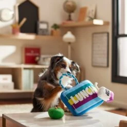 Frisco Back To School Lunchbox With Juice & Apple Plush With Rope Squeaky Dog Toy -Ultimate Pet Shop 279427 PT3. AC SS1800 V1628191372