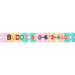 Frisco Pastel Tie Dye Polyester Personalized Dog Collar -Ultimate Pet Shop 280770 PT2. AC SS1800 V1621540643