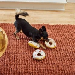 Frisco Fall Maple Bacon Donuts Plush Squeaky Dog Toy, 3 Count -Ultimate Pet Shop 285613 PT3. AC SS1800 V1629725241