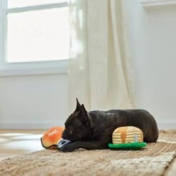 Frisco Fall Pancakes & Maple Syrup Plush Squeaky Dog Toy, 2 Count -Ultimate Pet Shop 285627 PT3. AC SS1800 V1629725170