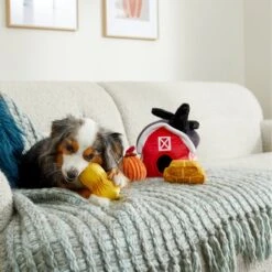 Frisco Fall Farmhouse Hide & Seek Puzzle Plush Squeaky Dog Toy -Ultimate Pet Shop 285629 PT3. AC SS1800 V1629725107
