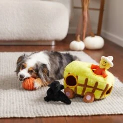 Frisco Fall Hay Wagon Hide & Seek Puzzle Plush Squeaky Dog Toy -Ultimate Pet Shop 285631 PT3. AC SS1800 V1629724940