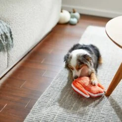 Frisco Fall Sweater Weather Flat Plush Squeaky Dog Toy -Ultimate Pet Shop 285635 PT3. AC SS1800 V1629725212