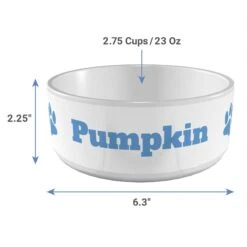 Frisco Paw Print Ceramic Personalized Dog Bowl -Ultimate Pet Shop 286982 PT3. AC SS1800 V1636036346
