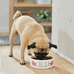 Frisco Flower Ceramic Personalized Dog Bowl -Ultimate Pet Shop 286985 PT2. AC SS1800 V1625764713